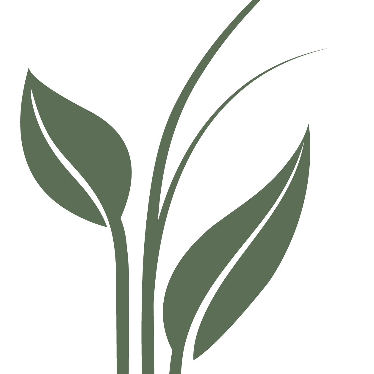 Frogs and Bogs - PARS - logo